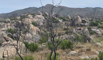 1 Tule Peak Rd, Anza, CA 92536