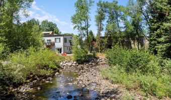 412 N Mill St B9, Aspen, CO 81611