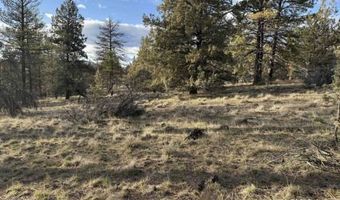 Canvasback, Bonanza, OR 97623