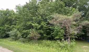 Mallard Drive, Alger, MI 48610