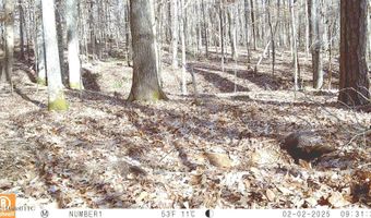 519 247 Country Rd, Bruce, MS 38915