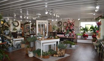 107 W. Main St, Albion, IL 62806