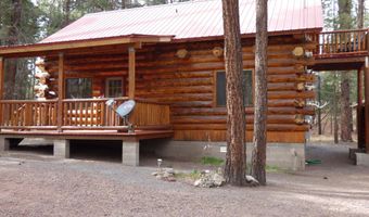 30 County Road 2066, Alpine, AZ 85920