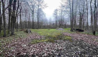 Fox Ridge Lane, Allenton, MI 48002