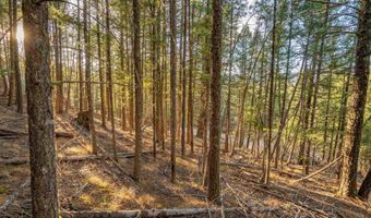 El Camino Real lot 35, Angel Fire, NM 87710