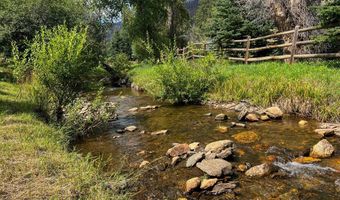 27667 Buckhorn Rd, Bellvue, CO 80512