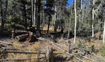 Taos Dr lot 173, Angel Fire, NM 87710