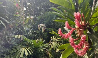 59 Door Of Faith Rd, Haiku, HI 96708