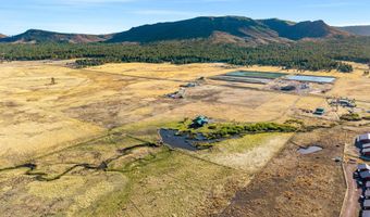 216 CR 2311, Alpine, AZ 85920