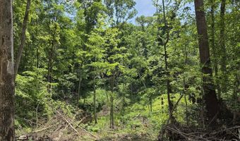 Blue Barn Road, Bloomfield, IN 47424