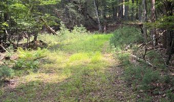 Hall Hollow Road, Austinville, VA 24312