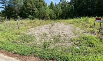 1258 Otis Paine Rd, Bethel Springs, TN 38315