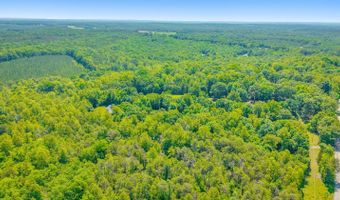430 Watt Abbitt Rd, Appomattox, VA 24522