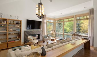 509 W Hopkins Ave, Aspen, CO 81611