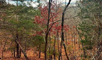 KING Street, Basye, VA 22810