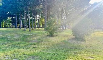 Daisy Lane 1, Andalusia, AL 36420