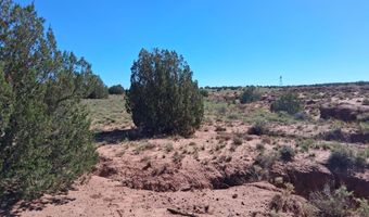 268 N 5380, Concho, AZ 85924