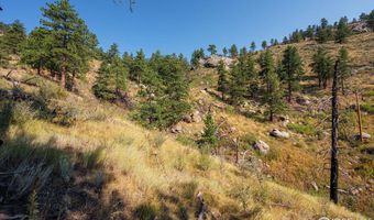 0 Pine Acres Way, Bellvue, CO 80512
