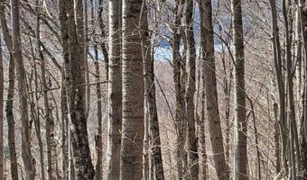 493 Wheeler Mountain Rd, Barton, VT 05822