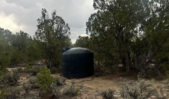 Forest Road 556, Carson, NM 87517