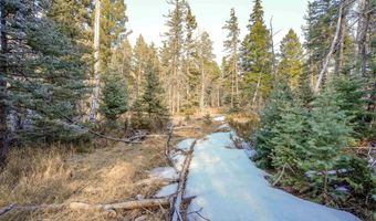1004 And 1005 El Camino Real, Angel Fire, NM 87710