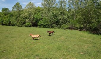 12459 County Road 5-402, Ava, MO 65608