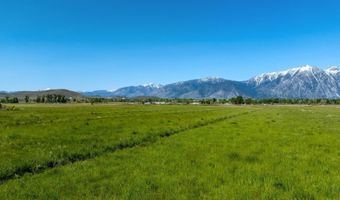 Pinenut Rd, Gardnerville, NV 89410