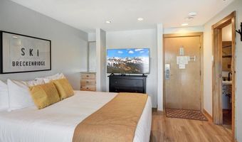 535 S Park Ave 317, Breckenridge, CO 80424