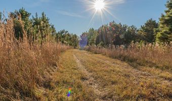 1374 E HIGHWAY 280 Lot 1374, Alexander City, AL 35010