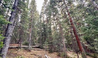 781 KIMMES Ln, Breckenridge, CO 80424