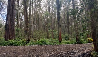 46-3821 PUAONO Rd 107, Honokaa, HI 96727