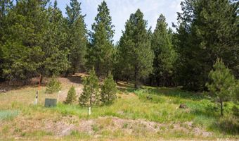 63 Price Loop, Cascade, ID 83611