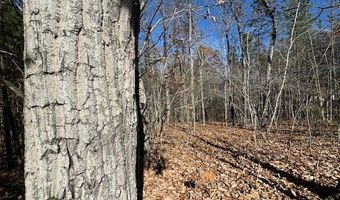 Chestnut Grove Road, Appomattox, VA 24522