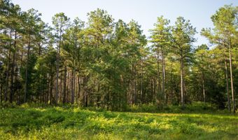 CARPENTER ROAD, Bastrop, LA 71220