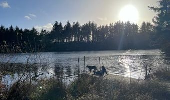 53461 SAFE Rd, Bandon, OR 97411