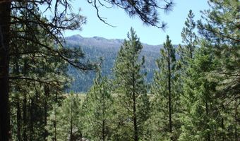 464 Collier View Rd Lot 91, Cascade, ID 83611