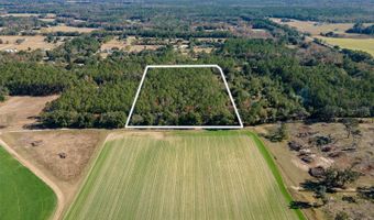 Tbd N COUNTY RD 1491, Alachua, FL 32615