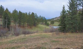 Old Flowers Rd, Bellvue, CO 80512
