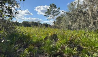 0 ALTURAS BABSON PARK CUT OFF Rd, Bartow, FL 33830