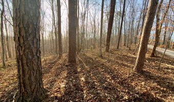 Muddy Ridge Rd, Adams, KY 41201
