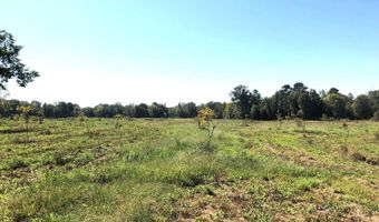 1071 LR 3, Ashdown, AR 71822