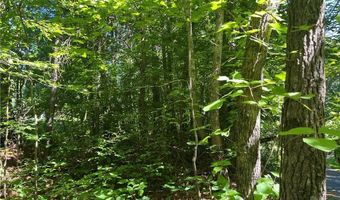 Fortner Road, Ball Ground, GA 30107
