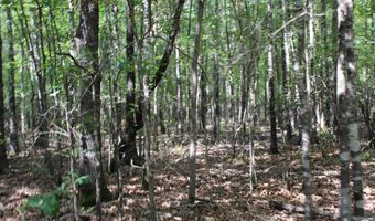 TBD CR 4670, De Kalb, TX 75559