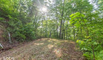 1200 Tobacco Branch Rd, Almond, NC 28702