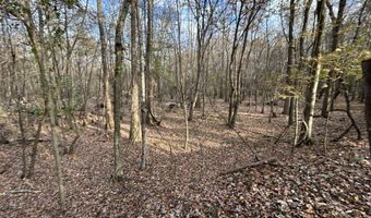 2423 Mill Creek Rd, Bethune, SC 29009