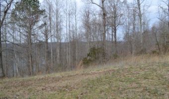 Fox Hill Road lot 4 & 5, Baxter, TN 38544