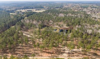 128 Beagle Chase Dr, Appling, GA 30802