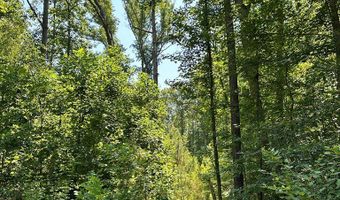 George Green Rd, Tallapoosa, GA 30176