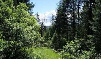 NKA Meadowland Drive, Blanchard, ID 83804