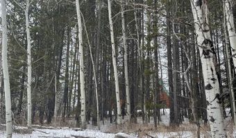 4523 S Elk Loop Rd, Ashton, ID 83420